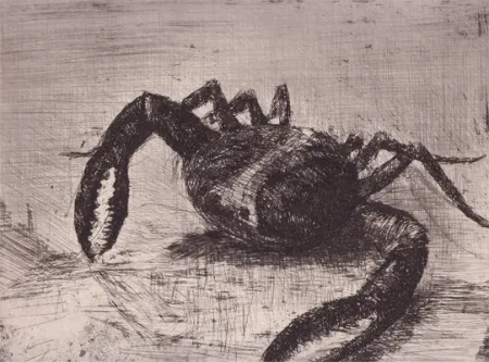 Livro Ilustrado Zamorano De Biedma - Bestiaire