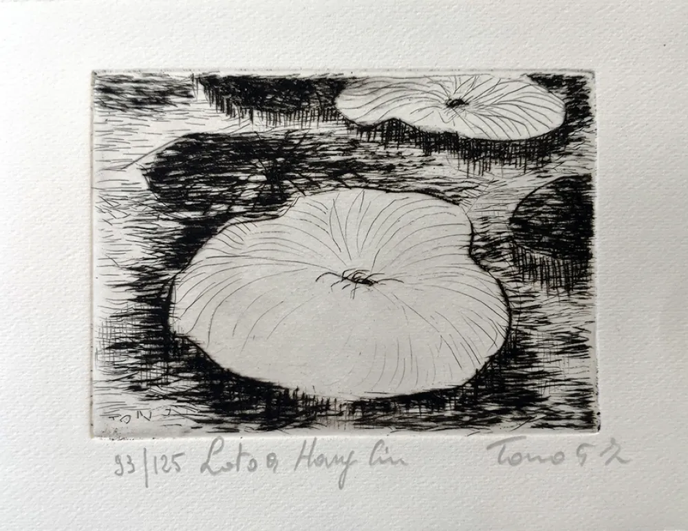 Água-Forte Zancanaro - Loto a Hang-Cin