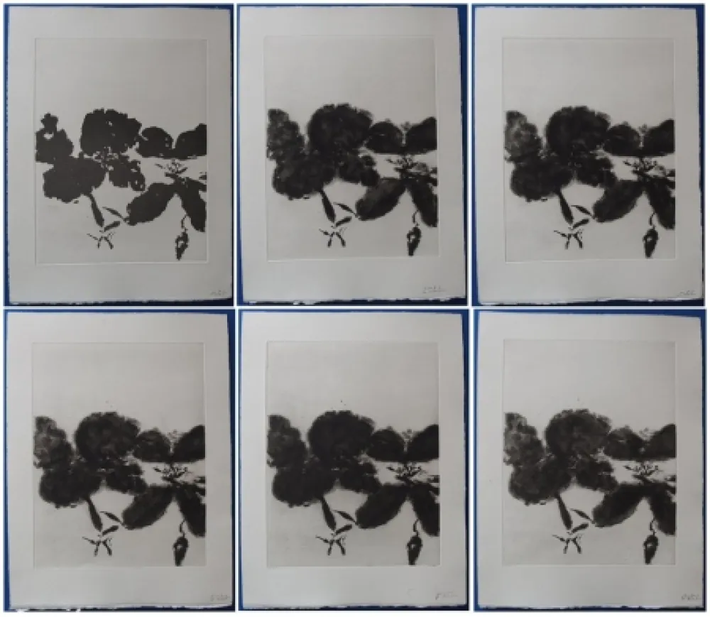Água-Forte E Água-Tinta Zao - 6 états de la gravure 