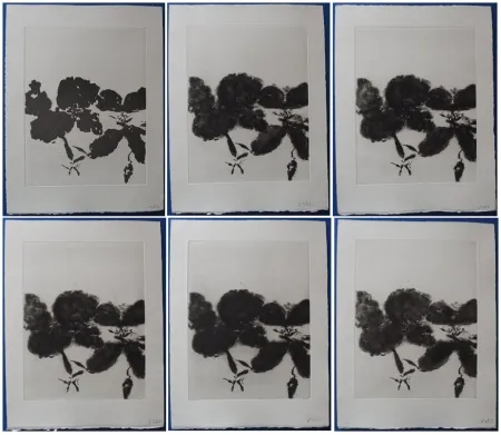 Água-Forte E Água-Tinta Zao - 6 états de la gravure 
