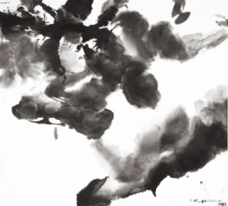 Água-Forte E Água-Tinta Zao - Composition 1