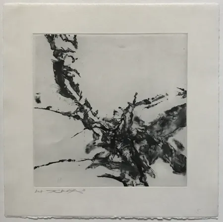 Água-Forte E Água-Tinta Zao - Éloge des choses extrêmement légères (361)