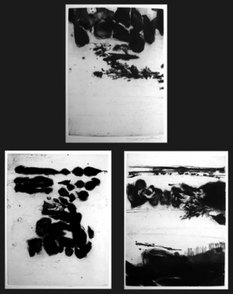 Água-Forte Zao - Genèse