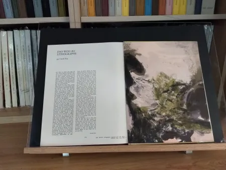 Livro Ilustrado Zao - No 37