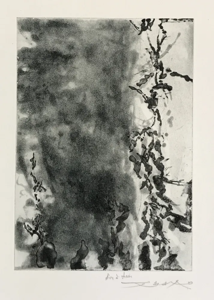 Água-Forte E Água-Tinta Zao - Proustiennes (348)