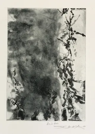 Água-Forte E Água-Tinta Zao - Proustiennes (348)