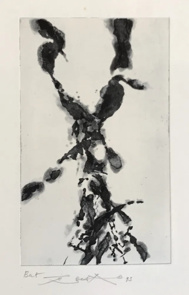 Água-Forte E Água-Tinta Zao - Rompre le cri (373)