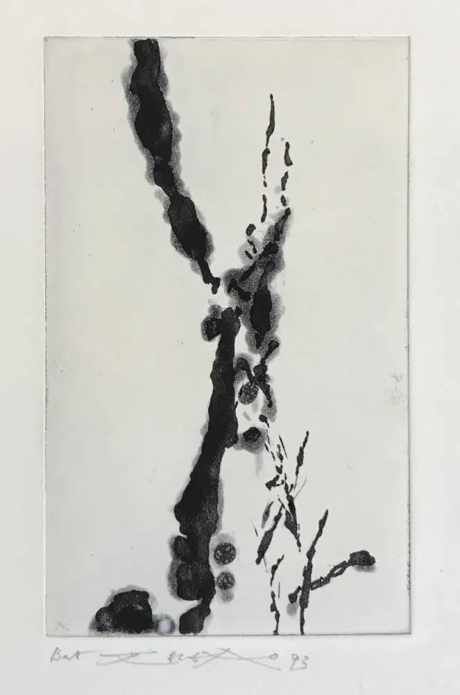 Água-Forte E Água-Tinta Zao - Rompre le cri (374)