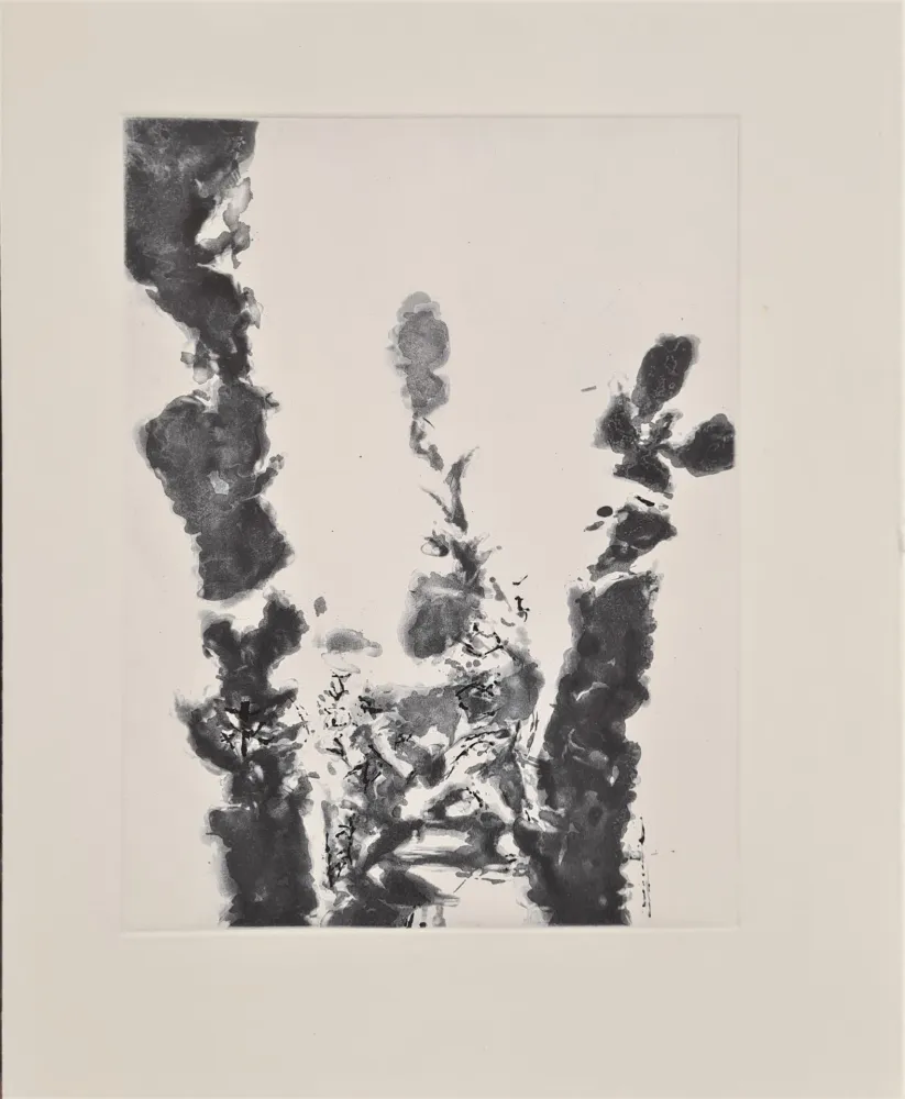 Água-Forte E Água-Tinta Zao - XXIV Sonnets de Shakespeare