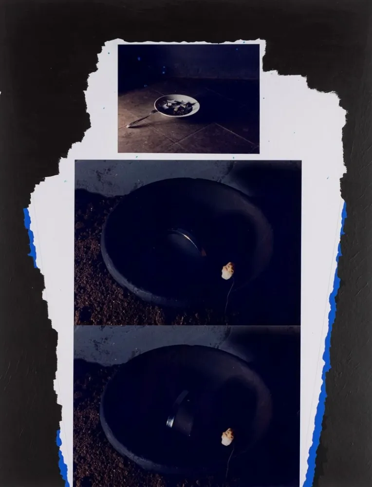 Monotipia Zaza - Trasfigurazione