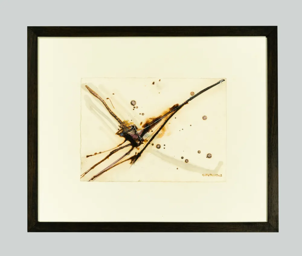 Sem Técnica Zorio - Senza titolo (Canoa)