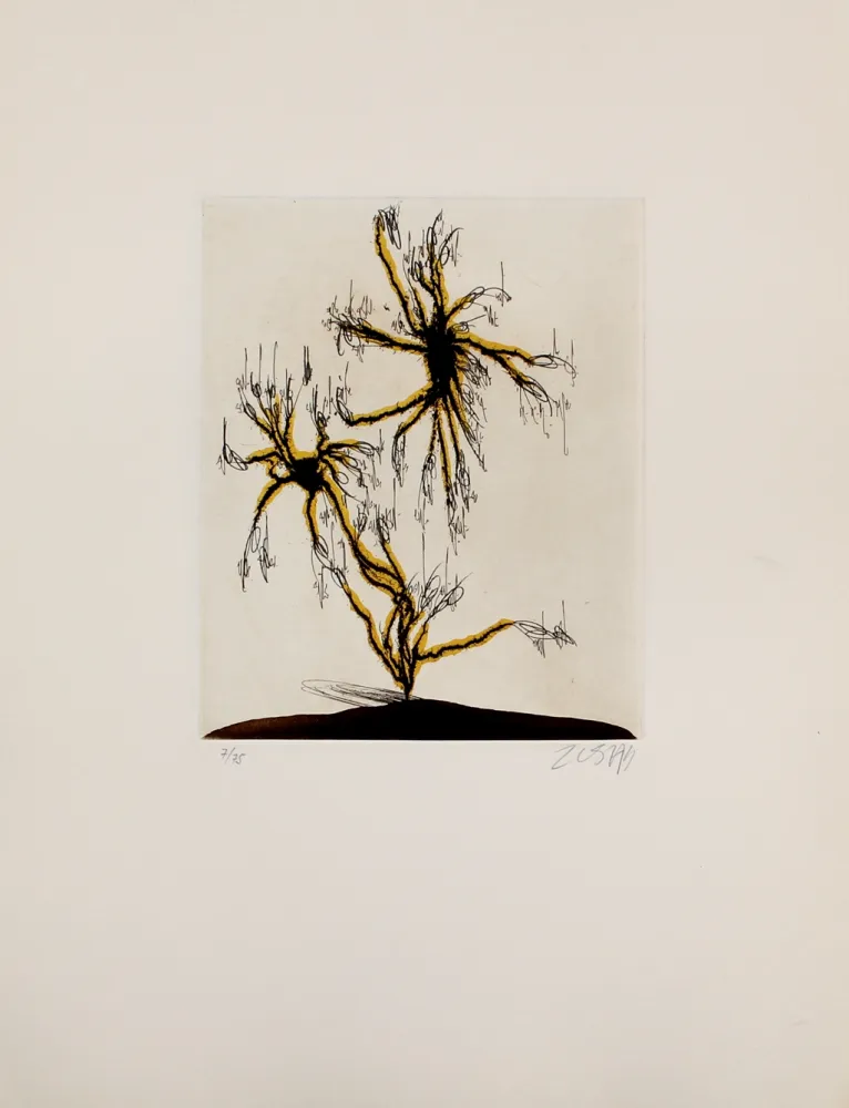 Água-Forte E Água-Tinta Zush - Anzuras