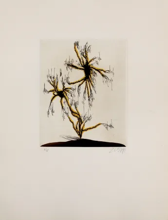 Água-Forte E Água-Tinta Zush - Anzuras