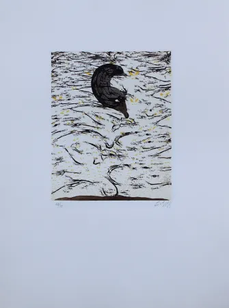 Água-Forte E Água-Tinta Zush - Sascape