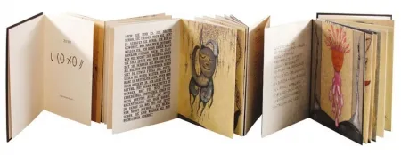 Livro Ilustrado Zush - Uroxos